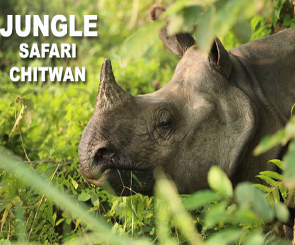 Chitwan Tour Package From Gorakhpur